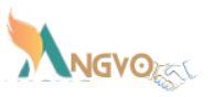 Angvo Logo